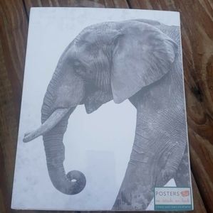 5 Count Wall Poster's